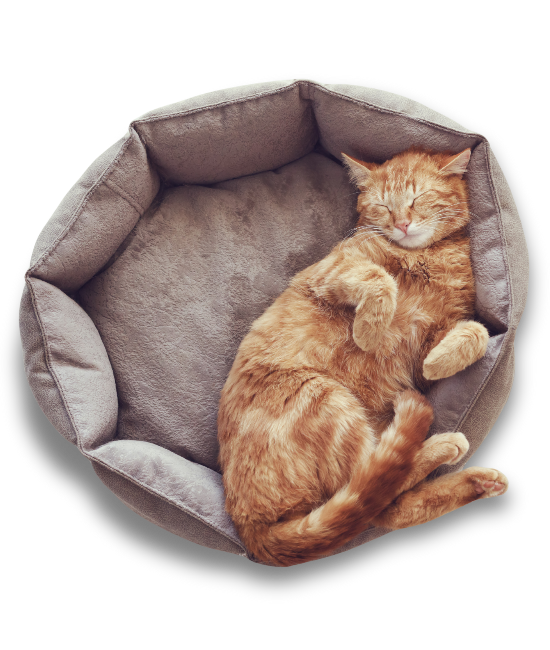 Diseño-sin-título-2025-07-07T193919.709