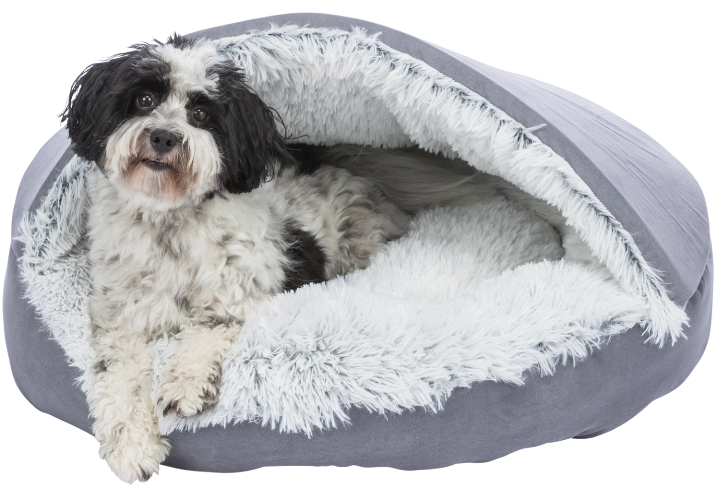 Camas cueva para perros, con perro biccolor